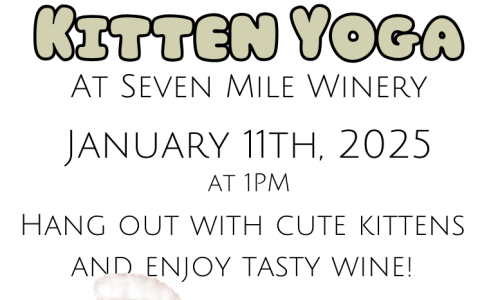 Kitten Yoga January